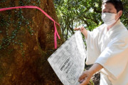 羽生選手も参拝　諭鶴羽（ゆづるは）神社周辺の原生林がピンチ　害虫対策へ協力募る