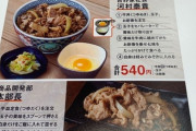 【画像】吉野家の社長が薦める牛丼の食べ方が不味そう
