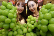 日本からパクったシャインマスカット、韓国の輸出孝行果物に成長…中国でバカ売れ＝韓国の反応
