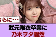 武元唯衣さん卒業に対する乃木ヲタの反応 #櫻坂46 #櫻坂46の家