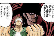 初期ワンピ「ミホークは七武海の一角。他にヤバいのが６人いる」←これ