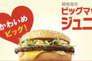 マクドナルドさん、ビッグマックのパテが1枚になったビッグマックジュニアを発売
