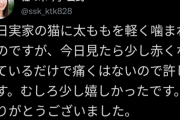 【元乃木坂46】佐々木琴子『猫に太ももを噛まれました。少し嬉しかったです。ありがとうございました。』