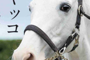 競馬・競走馬について語りたい