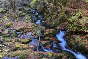 川苔山遭難多いな。逆コースで歩くと下山で疲れて100m落ちるので危険､にビビって未だに行ったことない