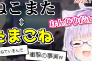 【Vtuber】ライバーたちの気になる発言まとめ