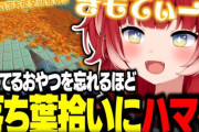 【VTuber】かるび、おやつを食べるのを忘れるほど落ち葉拾いゲームに夢中になる