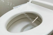 日本「欧米のトイレにウォッシュレット機能が無いって本当？それはちょっと…」