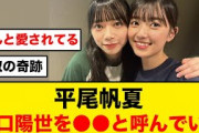 【日向坂46】平尾帆夏、山口陽世を●●と呼んでいるw