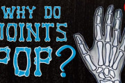 指関節はどうして鳴るのか？ 　海外の反応