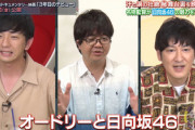 【日向坂46】パンサー向井さん「3年目のデビュー」を観て号泣【むかいの喋り方】