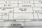 上場企業勤務でアラサー俺の昨年年収ｗｗｗ（※画像あり）