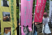 国会前デモに「猫と平和に昼寝したい会」?　架空団体のぼり話題