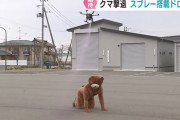 ドローンでクマよけスプレー噴射、石巻市が全国に先駆け導入へ！