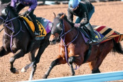 【有馬記念】エフフォーリアが異例の強め調整　鹿戸師「雰囲気は良かったです」
