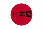 韓国人「日本語って言うほど難しいか？俺的には一番簡単な外国語だったぞ」
