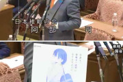 「月曜日のたわわ」問題、ついに国会で議論される事態にｗｗｗｗｗｗｗｗｗｗ #悲報