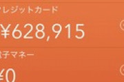 無職だけどクレカで100万近く散財して詰んでるんだけど