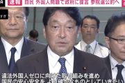 【悲報】自民党 「違法外国人ゼロ」を提言公約へ