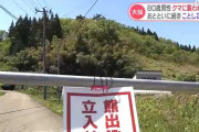 秋田県民「こっちは命がかかっている、文句を言うなら住んでみろ」 クマ駆除に対するクレームに憤り