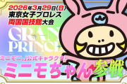 【事件】ミニモちゃんと矢口真里、プロレスデビュー決定！！！