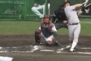 【悲報】巨人の浅野さん、内野まで飛ばないｗｗｗｗｗｗｗｗｗｗｗｗｗｗｗｗｗｗｗｗｗ