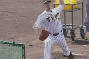 阪神チェン、キャンプ初の打撃投手で60球　糸井、マルテ、サンズと“ガチ勝負”