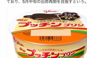 【悲報】プッチンプリン、5月中旬まで出荷停止