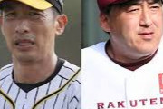 今季のプロ野球が盛り上がる為には楽天と阪神が活躍するしかないよな？