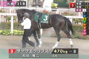 【札幌2歳S】ダークエクリプス　放馬