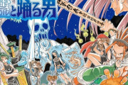 初期のシャーマンキング「よーし、強い霊をたくさん仲間にするぞー！！！！」