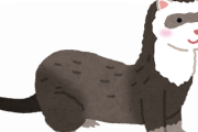 フェレットさん壊れたおもちゃみたいな動きをして和ませるｗｗｗｗｗｗｗｗｗ
