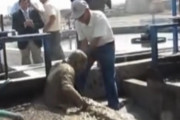 【食事中注意】糞まみれのプールに落ちたジャーナリストが悲惨すぎる　海外の反応