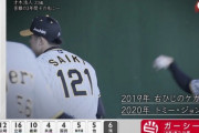 【速報】ガーシー当選確実ｗｗｗｗｗｗｗｗｗｗｗｗｗ