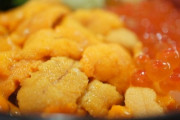 本当に美味いウニ食った事ないだけおじさん「本当に美味いウニ食った事ないだけ」