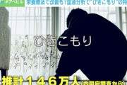 ひきこもりは「甘え」でも「恥」でもない！ 血液検査で見えてきた特徴と療法、アルギニンが少ない