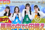 AKBメンバーさんが暴風雨の中で田植えに挑戦ｗｗｗm