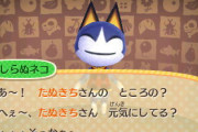 【あつまれどうぶつの森】みしらぬねことかおさるの駅長さんとか今回はどうなるんだろう？