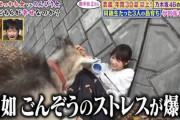 連続テレビ小説よだちゃんはよ