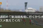 今週初めて新潟競馬場に行くからオススメ教えてくれ