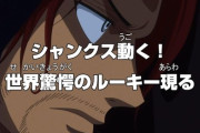 【悲報】アニメ「ワンピース」取り返しのつかない矛盾してしまう