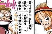 【悲報】ナミとウソップ、麦わらの一味で1番要らないキャラになってしまう・・・