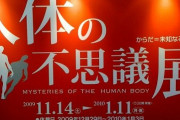人体の不思議展とかいう死体展示会