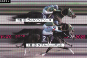 【チャンピオンズC】ウィルソンテソーロ写真判定ハナ差で3年連続2着