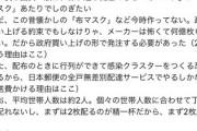 布マスク二枚の真相