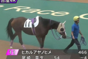 【名古屋競馬】ヒカルアヤノヒメ(牝19)が元日に出走　新記録達成へ