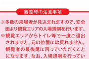 記念パレード、めちゃくちゃ強い意志を感じてしまう…ｗｗｗ