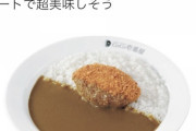 ［超画像］CoCo壱番屋のカツカレー