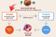 【韓国】世界キムチ研究所「キムチ、新型コロナの”症状緩和”に役立つ」