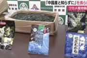 【悲報】ワカメ、産地偽装発覚…。